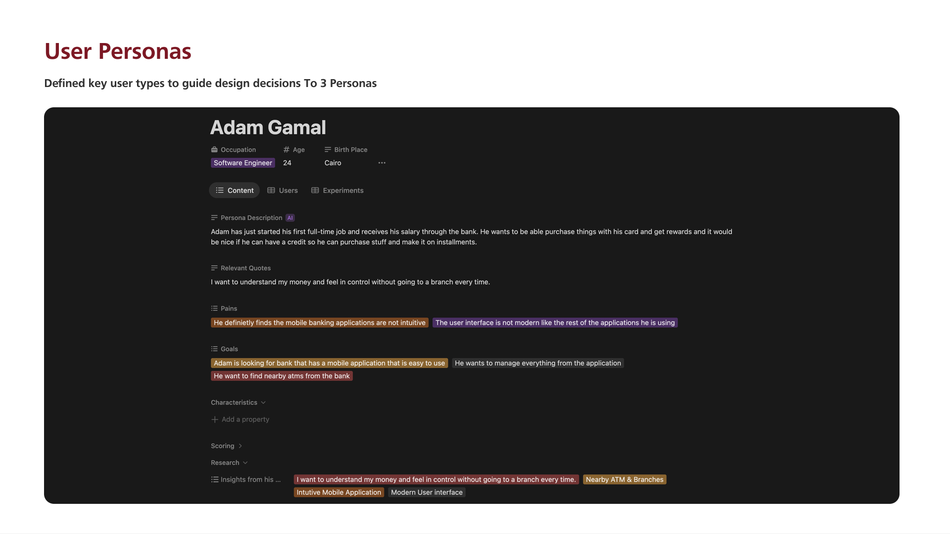Adam Gamal — persona description, quotes, pains, goals and the insights that fed the feature list.